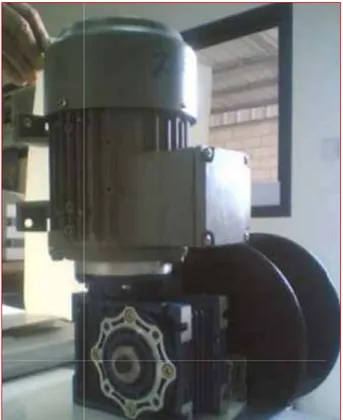 Automatic chute cleaning system and brushing device